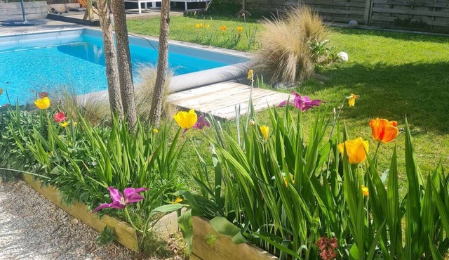 House with swimming pool and gym. The perfect family vacation