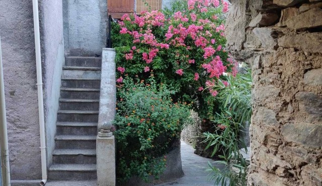 House with view of the island of GIRAGLIA