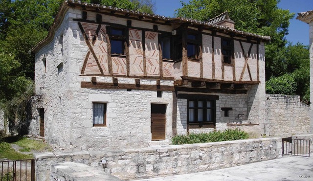 House Wren renovated in the medieval style
