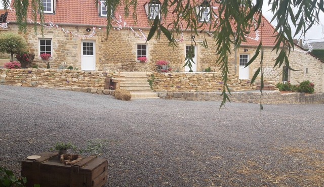 Housing the cozy nest