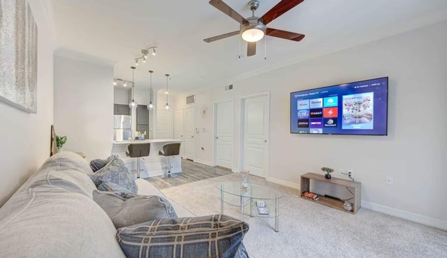 Houston Luxury Apartment