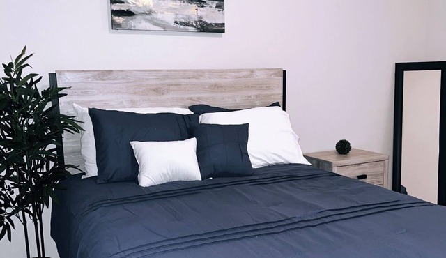 Houston midtown apartment