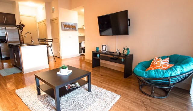 Houston Modern Apt Pool View NRG DISCOUNTED