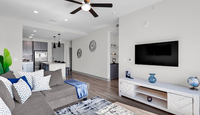 Houston Penthouse near NRG