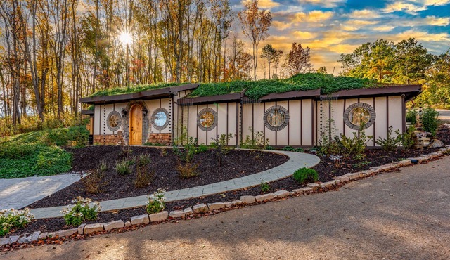 Howards Hollow! Earth Home at The Forgotten Forest!