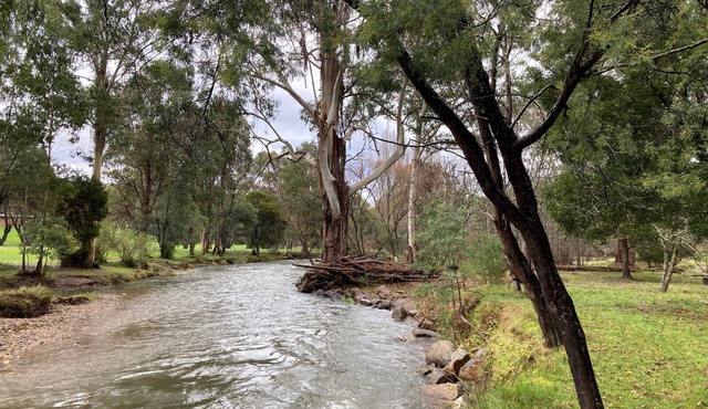 Howqua Lodge - beautiful views, Howqua River, perfect for groups