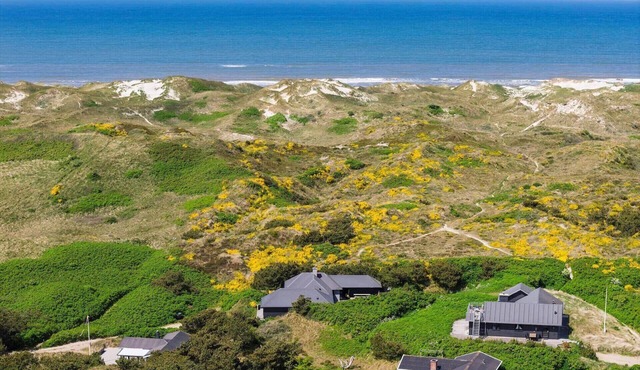 HS012 Henne - Fyrrestien 6