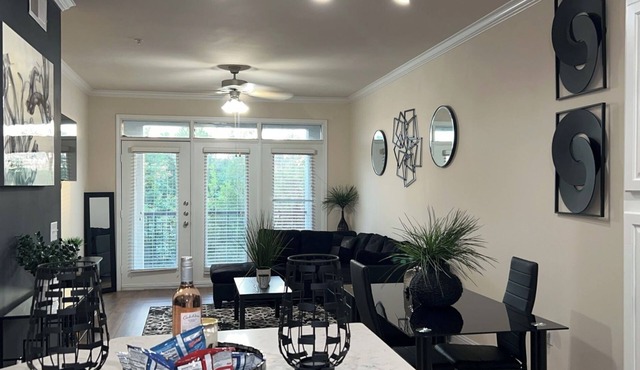 HTX Luxury Downtown Apartments 10 mins away from galleria mall private parking