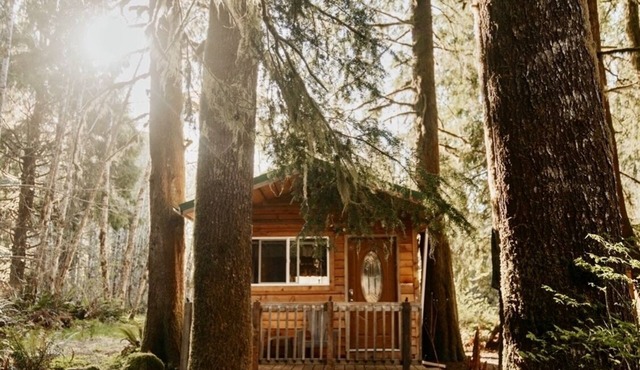 Huckleberry Cabin near La Push beaches