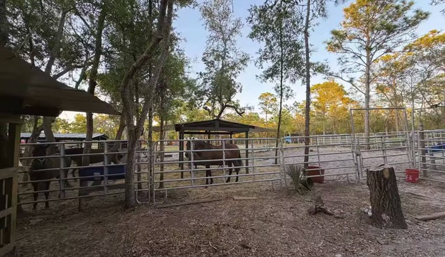 Hudson Horse Ranch