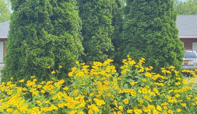 Hudson Valley 9w Motel