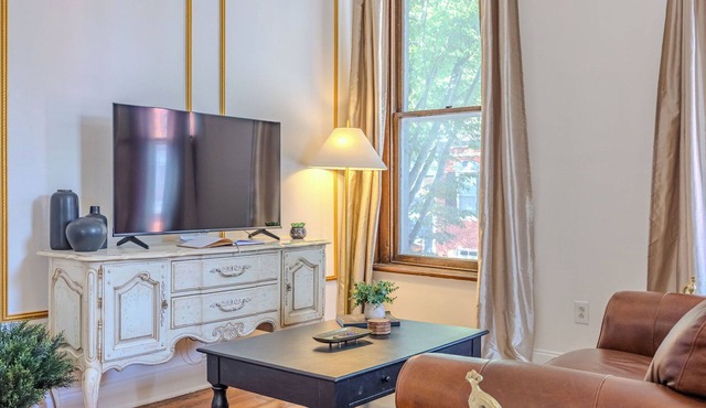 Huge 1br apt, baby-friendly, dogs, walkable downtown