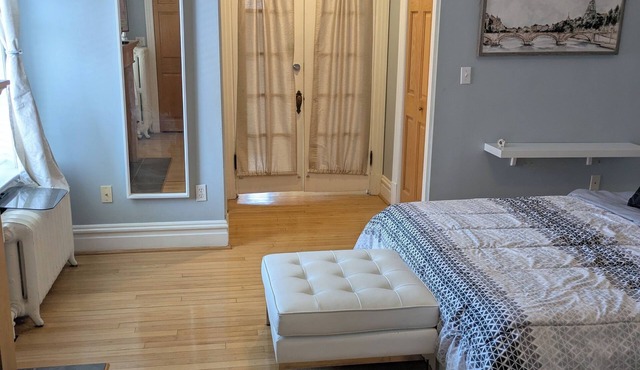 Huge 2-bedroom apartment 2 Blocks from Tower Grove Park!
