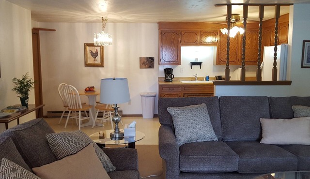 Huge Condo! Private Garage! WiFi. OPEN CONCEPT. Max 1 person, or 1 couple.