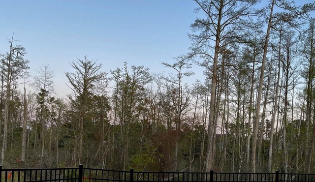 Huge Family House, Hot Tub, Firepit, Basketball, Sandbox