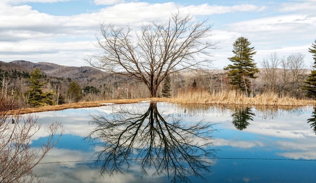 Huge Home with Private Pond - Ideal Remote Getaway for Family, Friends & More
