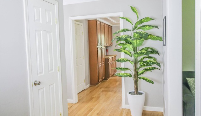 Huge house by Princeton University! Fits up to 22!