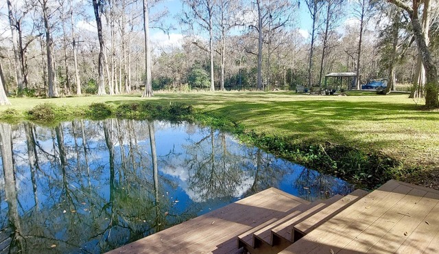 Huge House W Dock/Direct Access To Rainbow River! 🌈 Kayaks Included A+Location