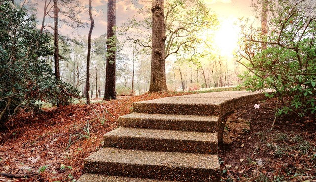 Huge Luxury Ranch Estate in Heart of Gladewater
