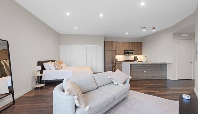 Huge Luxury Studio Apartment in Nevele22 - Chicago River West