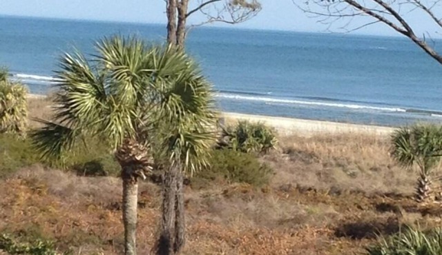 Huge Ocean View,central air,elevator,pool,WIFI,one bedroom