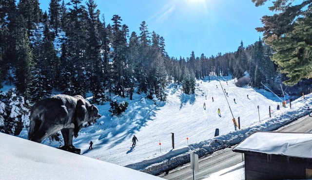 🎿 Huge Ski In/Out with Best Views @ Heavenly! 🐻 The Bear on the Roof - 16ppl