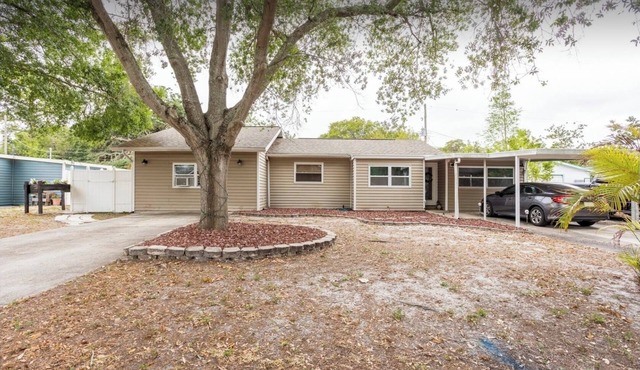HUGE UPDATED & CLEAN Studio Apartment, Downtown & Beaches Nearby!