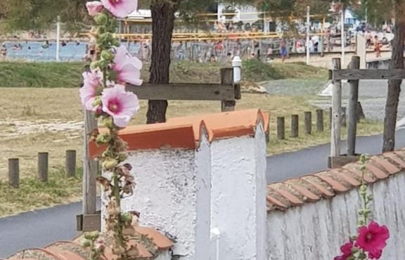 Huitres et mer