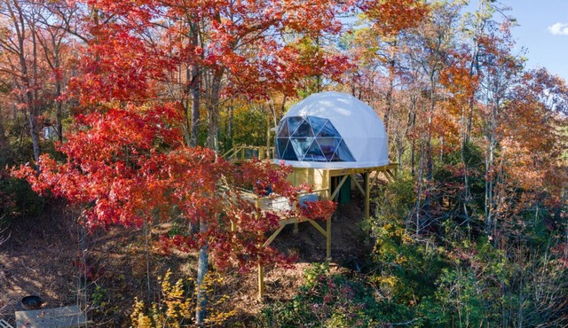 Hummingbird Dome | Private Sauna and Hot tub