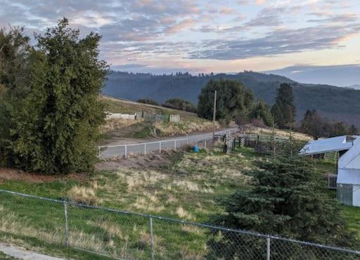 Hummingbird Hill