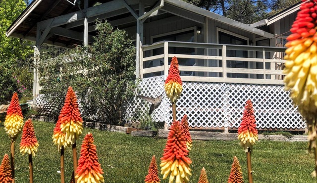 Hummingbird House - Scenic Peaceful Foothills Getaway only minutes from downtown