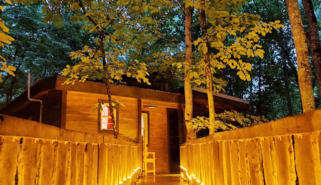 Hummingbird Treehouse w/Hot Tub & Firepit