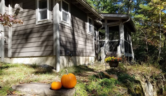 Hummingbird Vacation Cottage, Dupont State Forest, Cedar Mountain, NC
