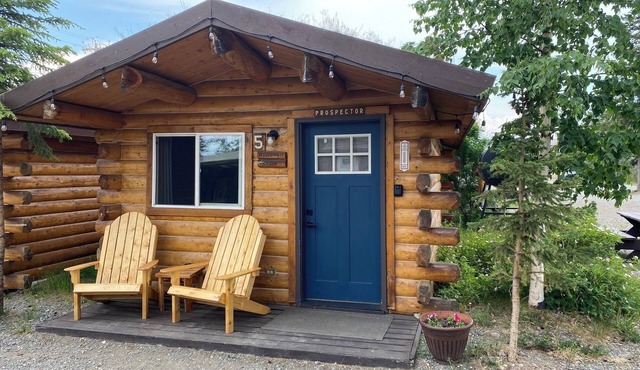 Hunter Cabin-Modern Comfort in the Last Frontier (For families or casual travelers)