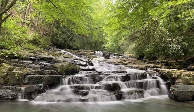 Hunter's/Fishermen's Dream Cabin! - Direct Access to public game lands!
