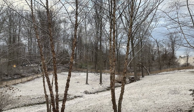 Hunter's Wood - Stunning 2+/2 Villa on 3 acres overlooking Goose Creek