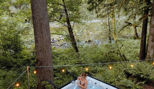 Hunts Hut: spa, riverfront view, generator, 15mi to ski hill!