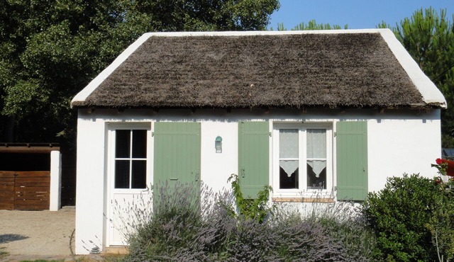 Hut 'camargaise' in border of pine forest: weekly or in the weekend