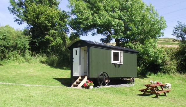 Hut in The Sheep Wash - Cosy Shepherd's Hut with log burner - Pet-friendly.