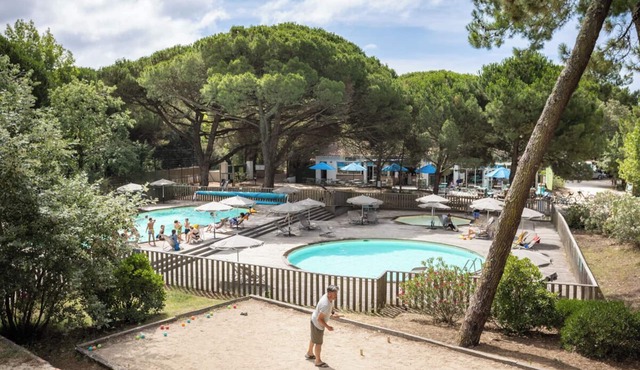 Huttopia Ile de Ré - Chardons bleus