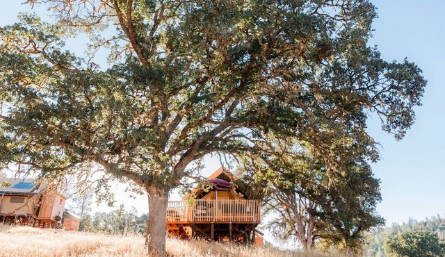 Huttopia Wine Country-Northern California