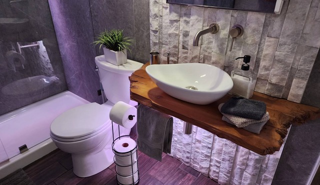 Hyde Park cozy "Chic Rustic" apartment 1 Mile from downtown - Private backyard