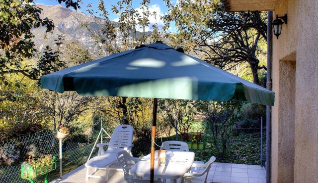 Hydrangea - LA BOLLENE-VESUBIE