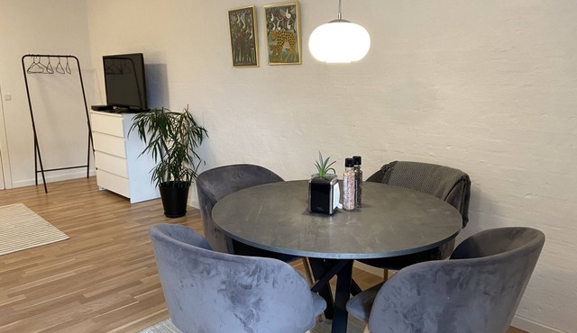 Hyggelig Etværelses Lejlighed på Damgaarden