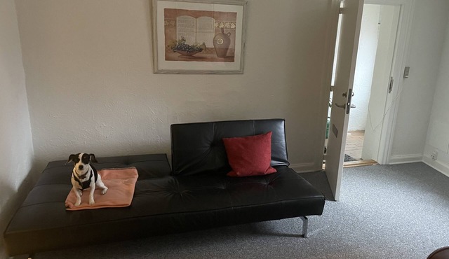 Hyggelig Lejlighed tæt på Centrum, tæt på Havn, Seværdigheder og Lærersnstalter