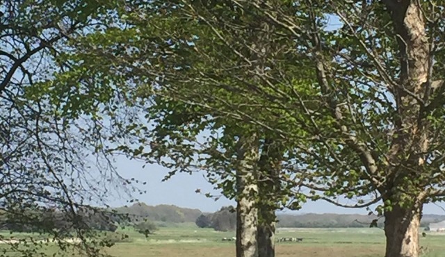 Hyggelig Lejlighed ved Kongeåen - 12 km fra Danmarks Ældste by Ribe