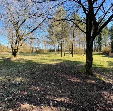 Hyggelig og funktionel lejlighed