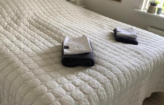 Hyggeligt nyrenoveret rækkehus med have