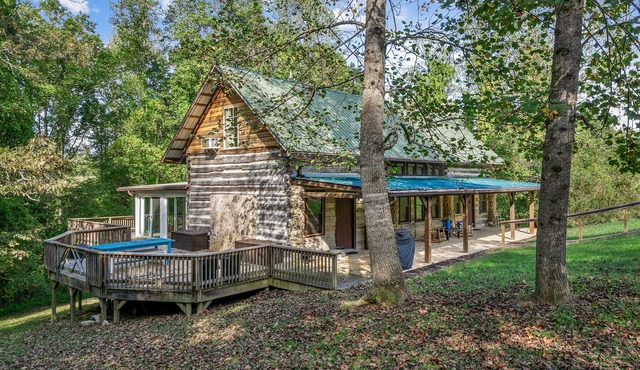 Hyland Woods (Dog-Friendly)