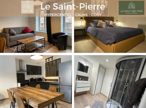Hypercentre, calme, cosy - Le Saint-Pierre